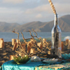 2014 Festival of Light and Gratitude: The 2nd Annual Black Friday luminous labyrinth walk at Baker Beach